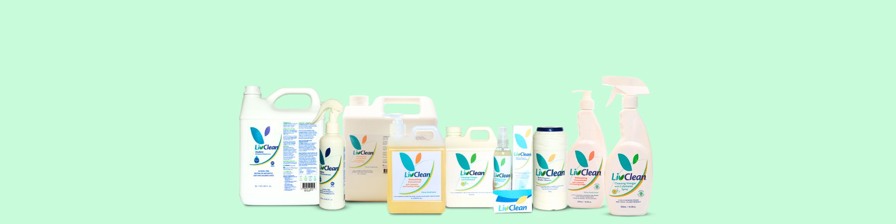collection-banner-image