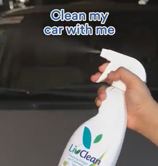 Spray, Wipe, Repeat, Car Edition ft. LivClean!