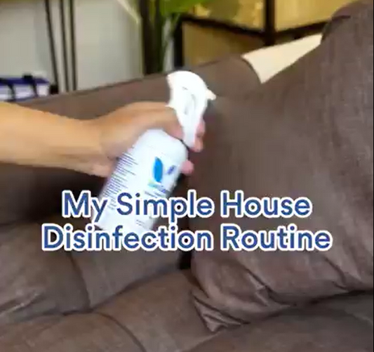 My Simple House Disinfection Routine