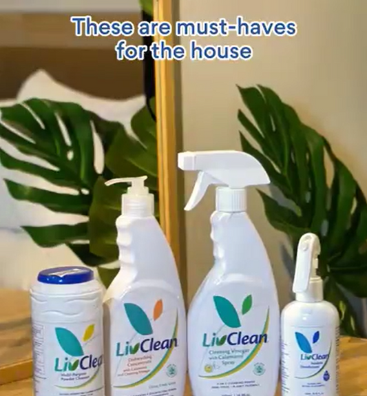 These are cleaning must-haves for the house