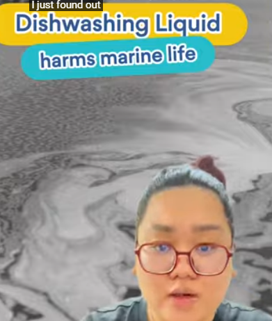 I found out that Dishwashing Liquid harms marine life