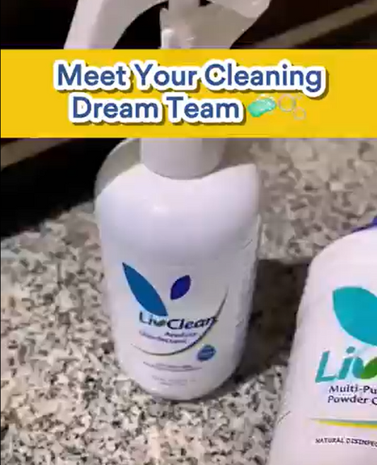 Meet your Cleaning Dream Team