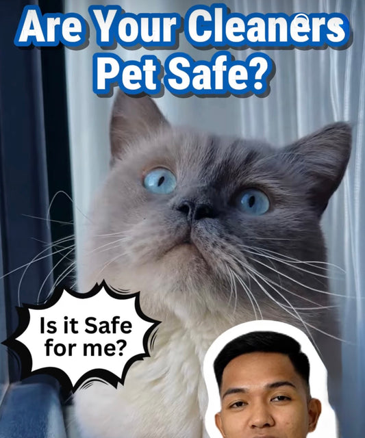Pet-safe Products You Can Trust